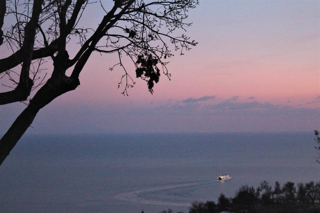 Villa Treglia B&B Formia Exterior foto